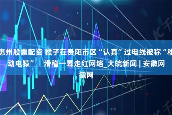 惠州股票配资 猴子在贵阳市区“认真”过电线被称“移动电猿”    滑稽一幕走红网络_大皖新闻 | 安徽网
